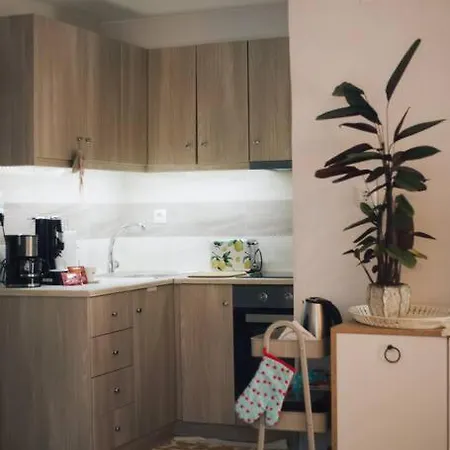 Το Σπίτι Της Ευτυχίας Στούντιο Apartment Karpenisi Exterior photo